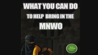 WHAT YOU CAN DO TO HELP BRING IN THE MNWO