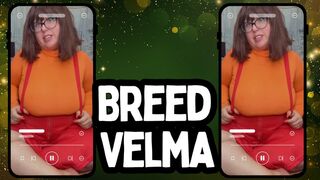 Breed Velma