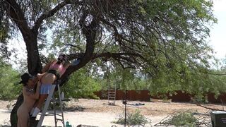 Interrupt Kitty's yardwork with fingering, a handjob and cum! On a ladder!