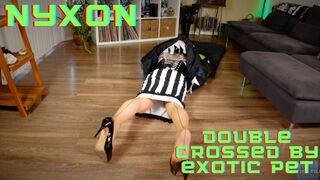 Nyxon Double Crossed By Exotic Pet 720p