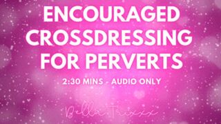 Encouraged Crossdressing for Perverts - AUDIO ONLY