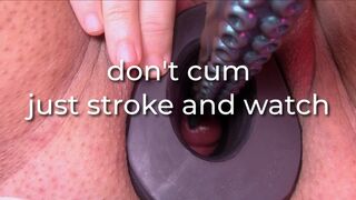 don't cum, just stroke and watch