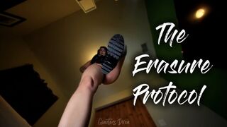 The Erasure Protocol (mp4)