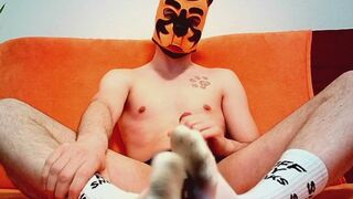 Pup gooning in smelly socks