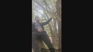 Tree Jacking