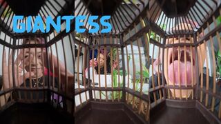 Garden Morning: The Caged Pet