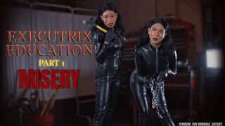Executrix Education - Part 1: Misery