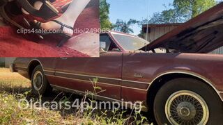 Revving the fire breathing tbird!