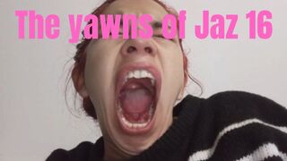 The yawns of Jaz 16