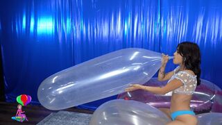 Nova Blow Pops a Balloon Sitting on a Balloon 4K (3840x2160)