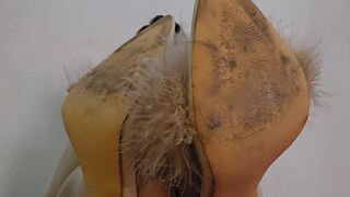 Balbina divine BBW Pantyhose show in the bed