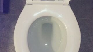 FLUSHING MY PEE DOWN MY TOILET UR WISH IS GRANTED