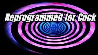 Reprogrammed for Cock