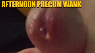 Afternoon Precum Wank