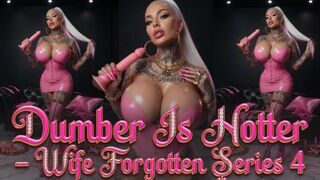 Dumber Is Hotter - Wife Forgotten Series 4