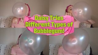 Daisy Tries Different Types of Bubblegum!