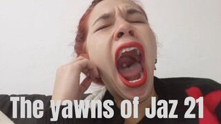 The yawns of Jaz 21