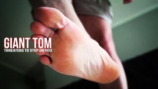 Giant Tom Threatens To Step On You