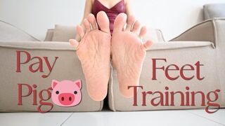 Pay Pig Feet Training