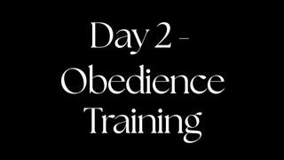 Day 2 - Obedience Training