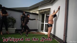 LILLI BAYLE, LILY DUPONT & GAIA - WHIPPED ON THE ROOF