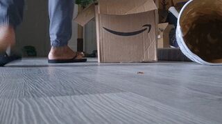 Unaware Giantess: Tiny Danger Under My Flip-Flops