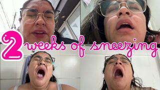 2 weeks of sneezing