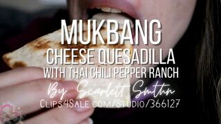 Mukbang Cheese Quesadilla