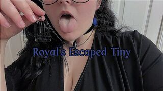 Royal's Escaped Tiny