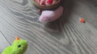 Carina crushed little toy chicks and bunnies